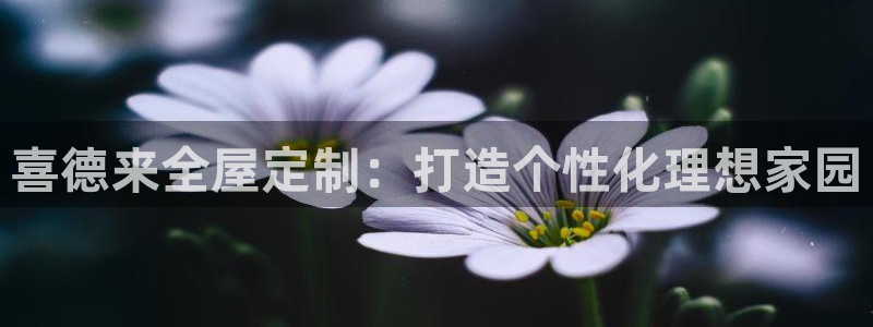 bb电子掉彩金