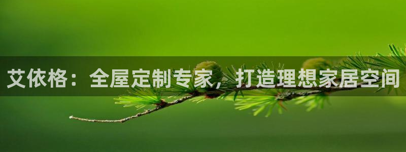 bb电子怎么英语怎么说