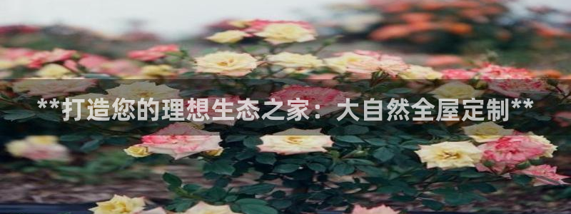 bb电子什么游戏好赢一点