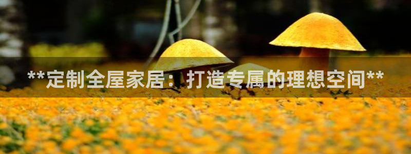 bb电子哪个平台好啊