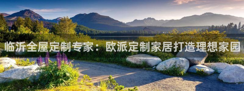 bb电子哪个平台好