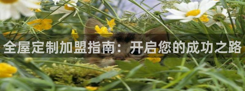 bb电子教育平台