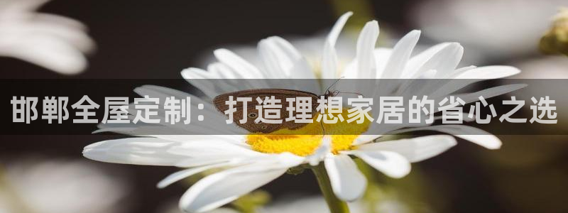 bb电子糖果彩球