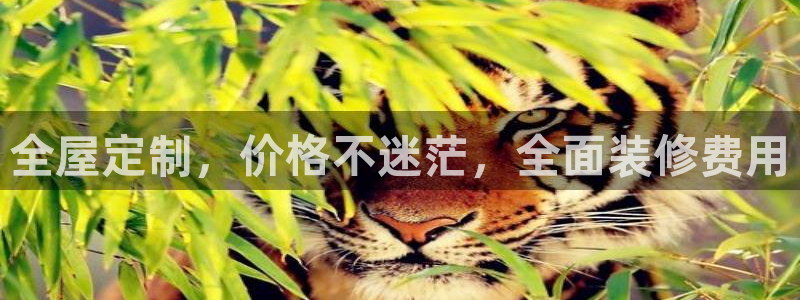 xbb电子游艺