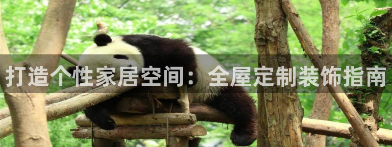 bb电子哪个平台好用点