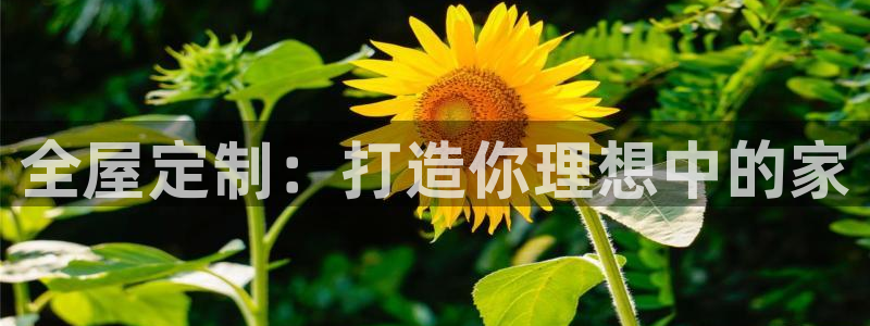 bb电子哪个平台好用点