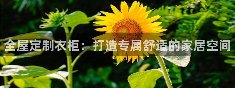 bb电子中了Major怎么算