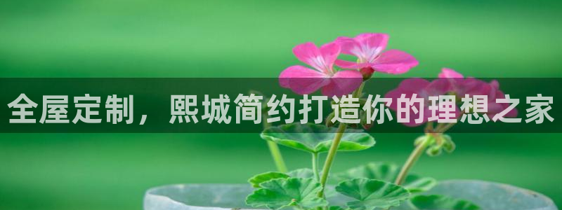 Bb电子琴和弦是哪个