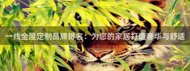 bb电子为什么总赢不了
