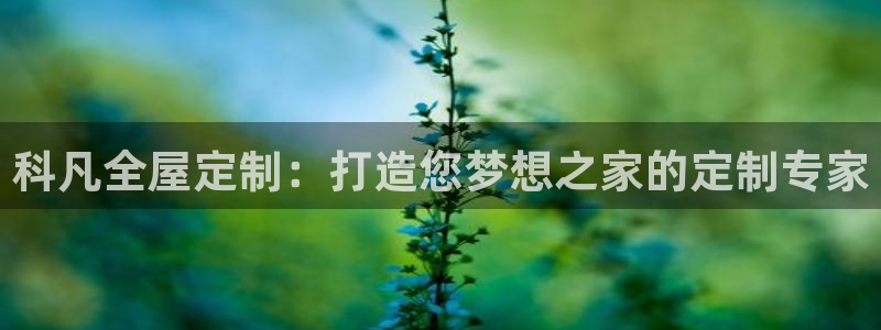 BB电子麻将胡了