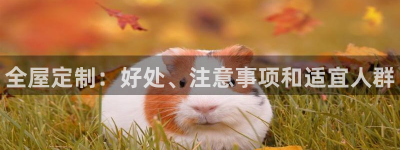 bb电子哪个平台好啊