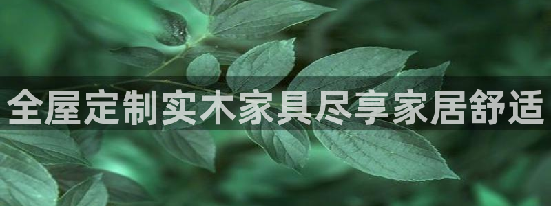 BB电子烟官网