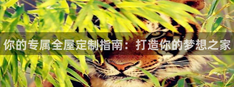 bb电子为什么总赢不了