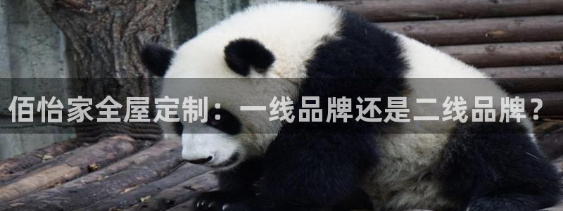 bb电子官网登录