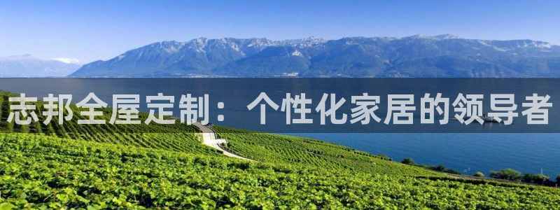 bb电子哪个平台好
