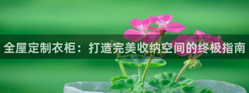 bb电子中了Major怎么算