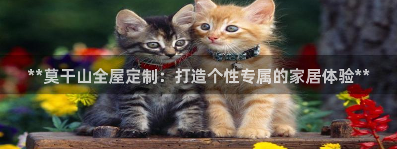 BB电子麻将胡了