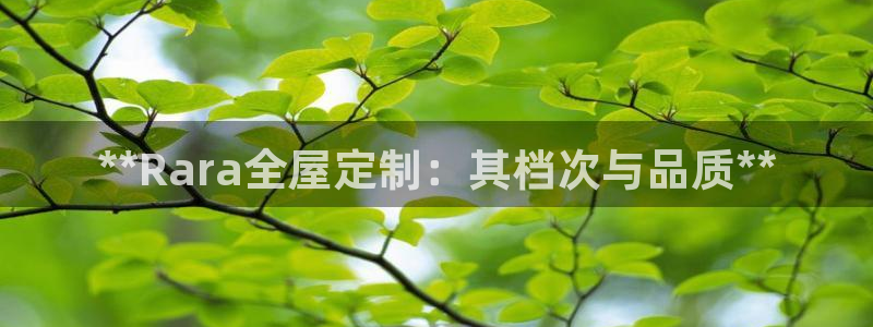 bb电子为什么总赢不了