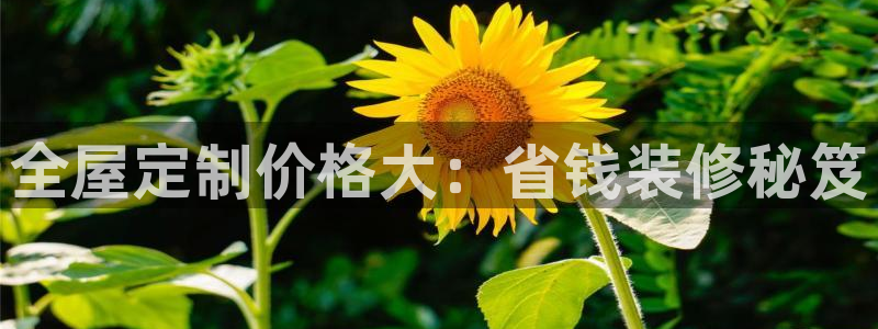 bb电子怎么英语怎么说