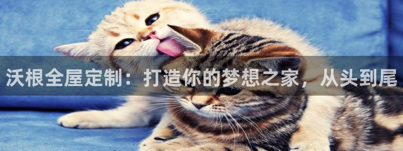 Bb电子琴和弦是哪个