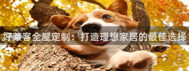bb电子哪个游戏好赢钱啊