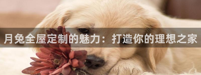 bb电子哪个平台好用