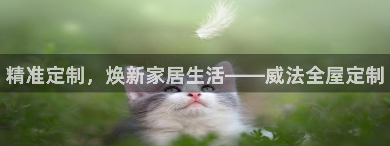 Bb电子琴和弦是哪个