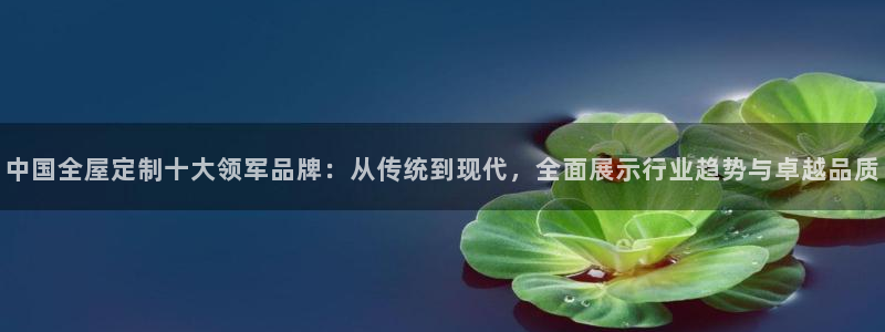 bb电子怎么英语怎么说
