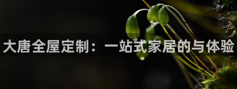 bb电子哪个平台好用