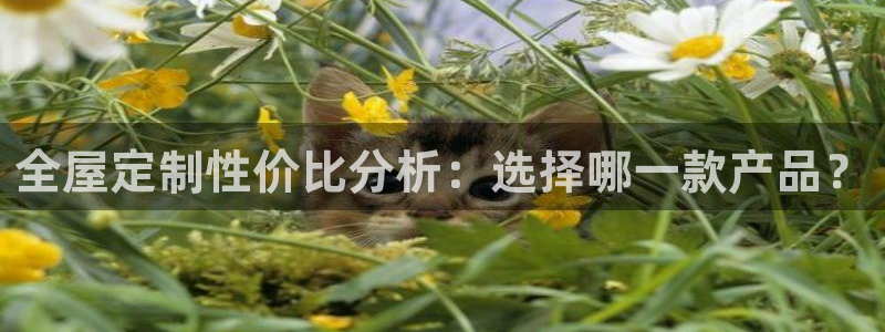 BB电子什么时候容易爆大奖