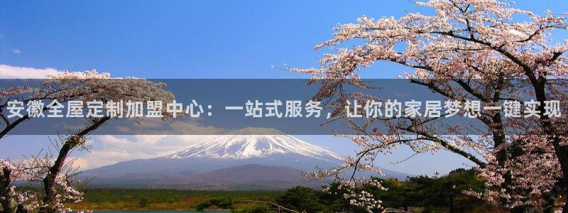 bb电子哪个平台好点