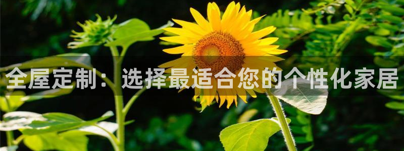 bb电子游戏娱乐平台
