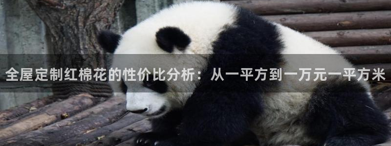 BB电子麻将胡了