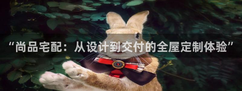 bb电子哪个平台好