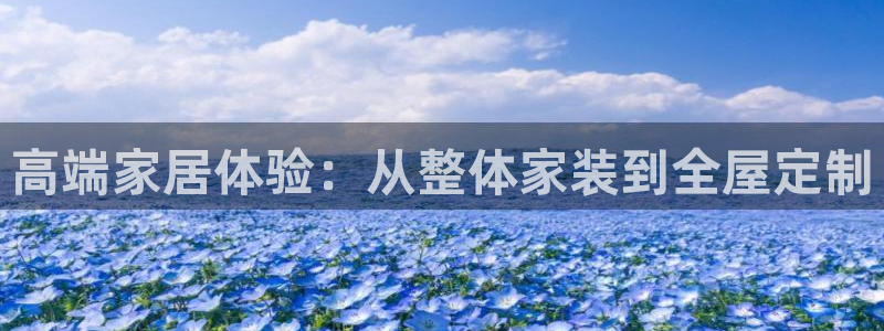 bb电子哪个平台好用点