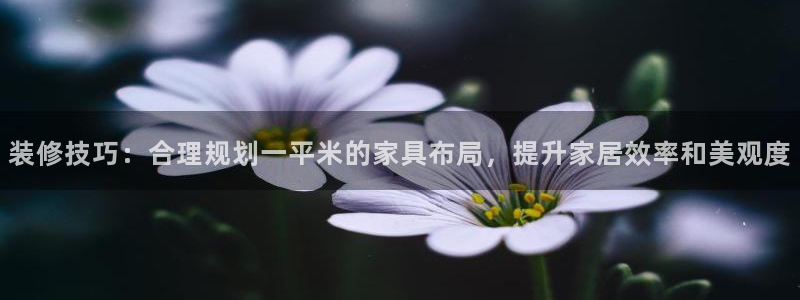 Bb电子琴和弦是哪个