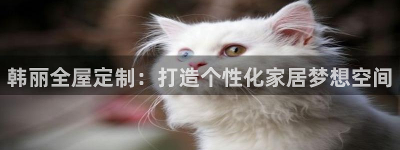 bb电子怎么赢