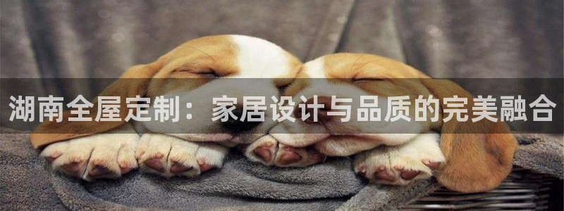 bb电子哪个平台好用