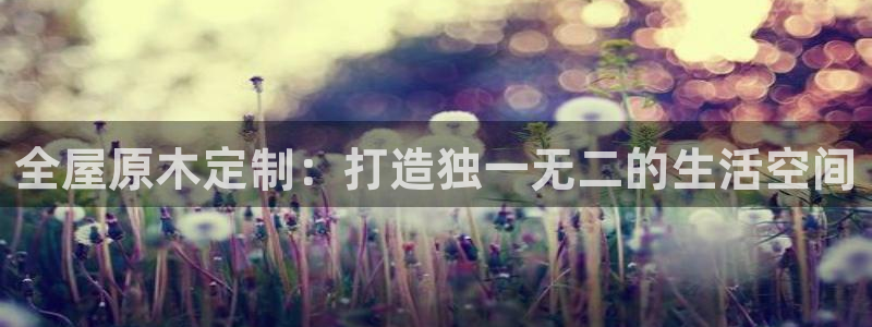 bb电子哪个平台好