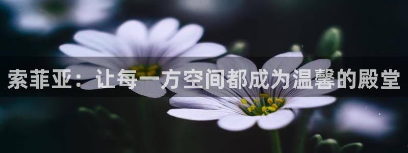 bb电子哪个平台好用一点