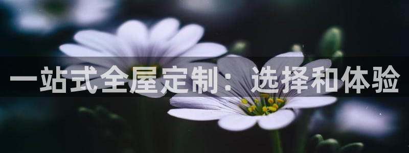 bb电子教育平台