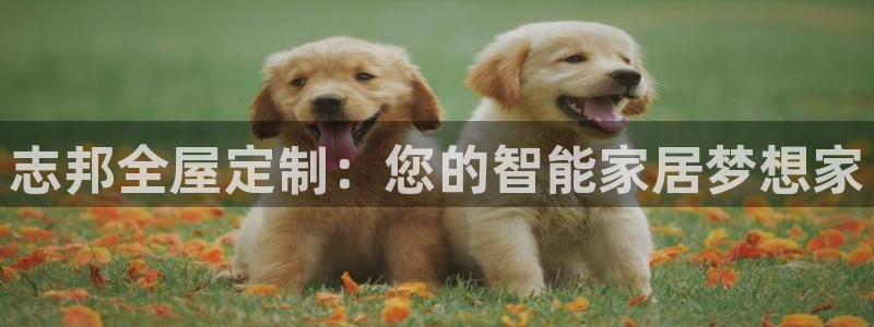 bb电子为什么总赢不了