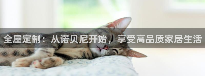 bb电子哪个平台好