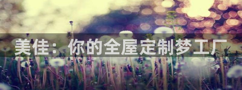 BB电子哪个平台好出款