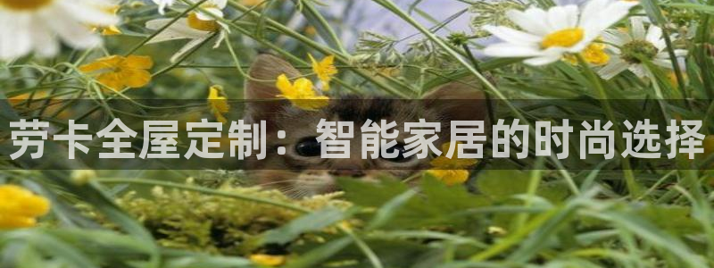 Bb电子琴和弦是哪个