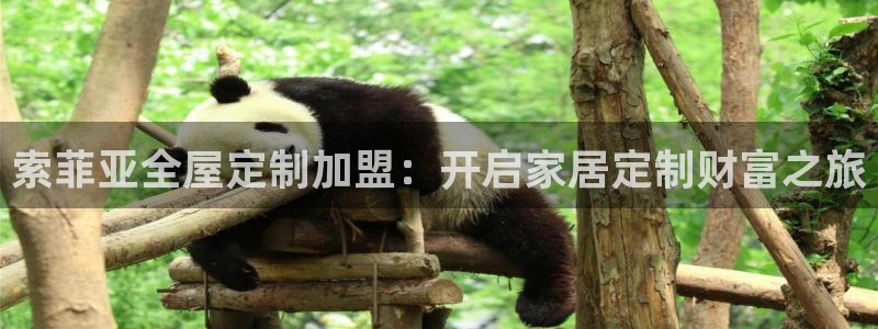 bb电子是怎么控制玩家输赢的