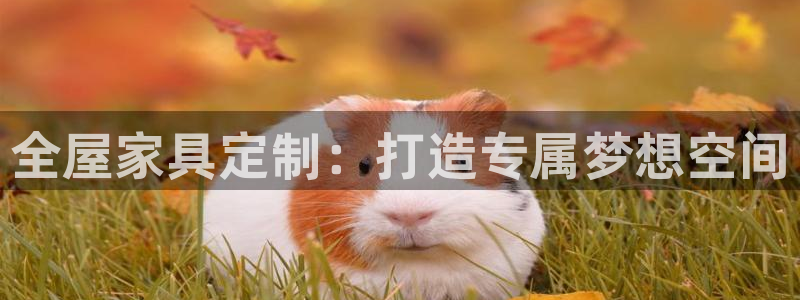 bb电子哪个平台好些