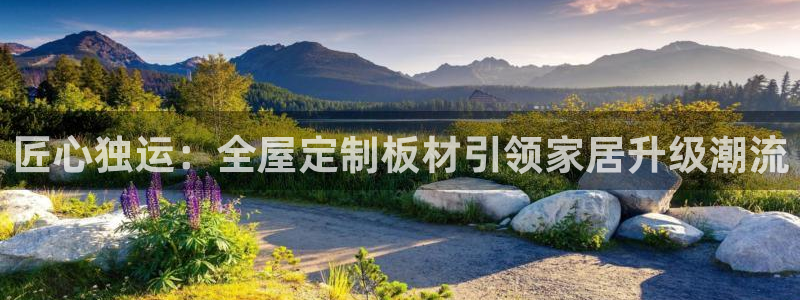 网上bb电子为什么那么假的