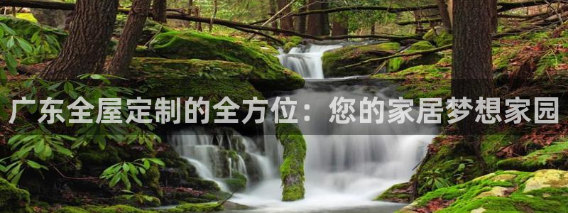 bb电子哪个平台好啊