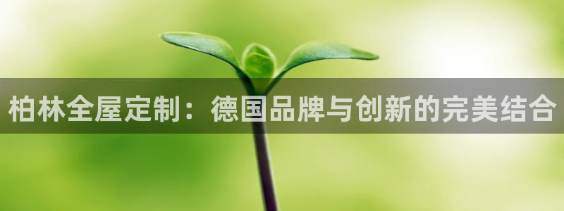 bb电子哪个平台好用点